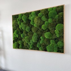 Mosbillede i mosmix 006